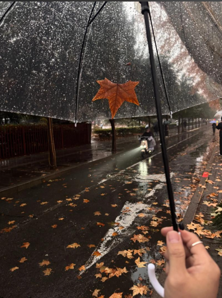 This Zodiac Sign Doesn’t Have to Pursue Sociability All the Time